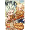 Dr. Stone - Tome 11