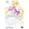 Sailor Moon T12